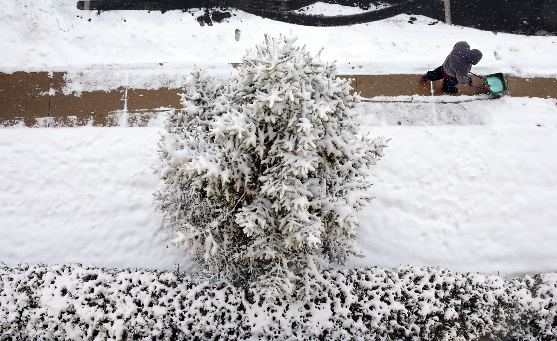 Clearing a path in Kirkwood